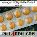 Kamagra 100Mg Gelée Orale À Vendre levitra1